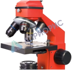 Микроскоп Levenhuk Rainbow 2L PLUS Orange (Апельсин)